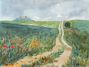 Wanderweg Kopie-1.jpg