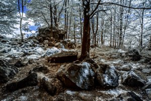 Felsen s.jpg
