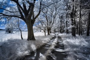 Feldweg s.jpg