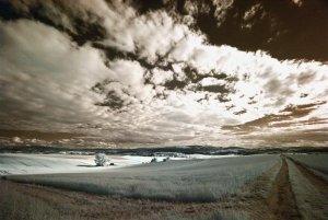 Odenwaldpanorama_c__Medium_.jpg