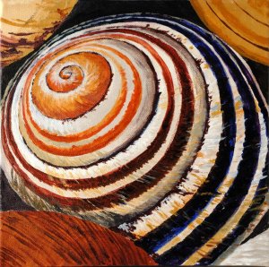 Schnecke3 Kopie (Large).jpg