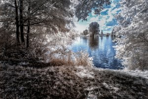 Fenster zum See s.jpg