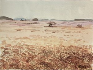 Winterliche Hochrhön c-1.jpg