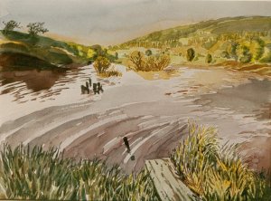 f34.jpg