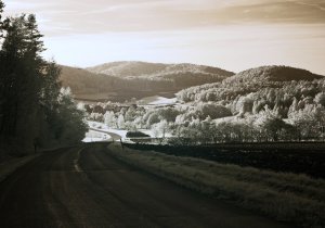 File_003c.jpg