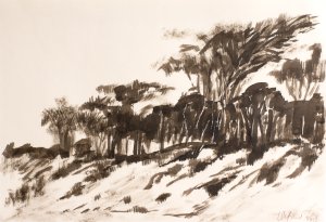 K__stenwald-1.jpg