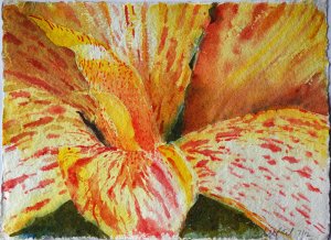 Blüte c.jpg